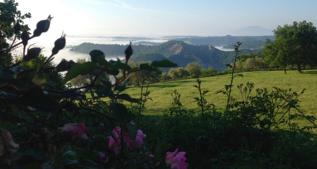 Bed And Breakfast Dopo Il Settimo Cielo Lubriano Exterior photo