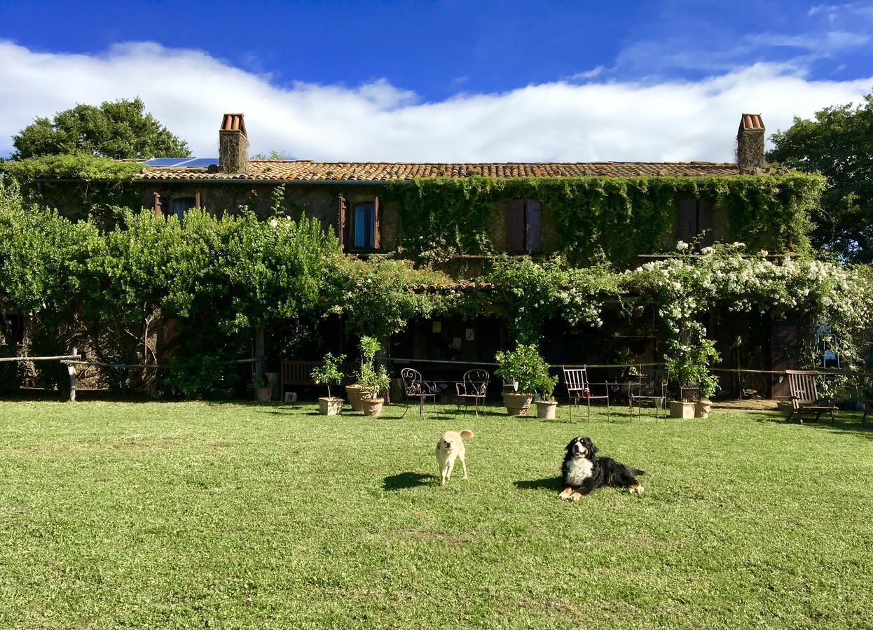 Bed And Breakfast Dopo Il Settimo Cielo Lubriano Exterior photo
